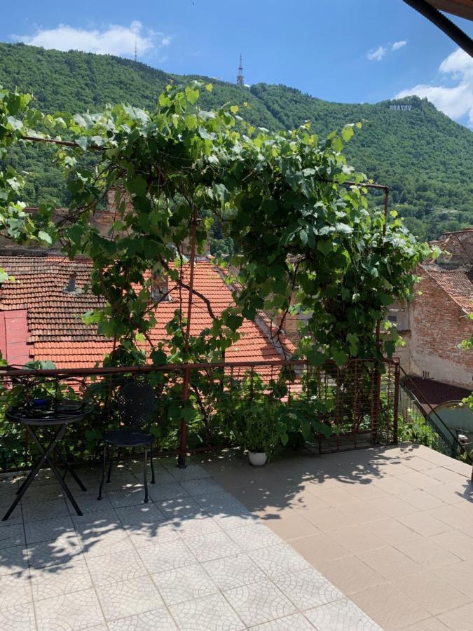 Fantasy Terasa Apartment Brasov Luaran gambar